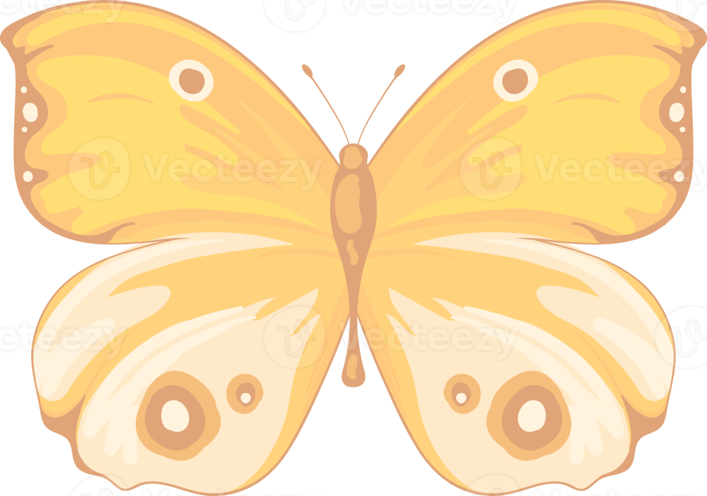 illustration Beautiful butterfly paint png