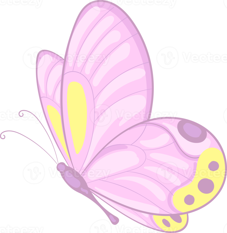 illustration Beautiful butterfly paint png