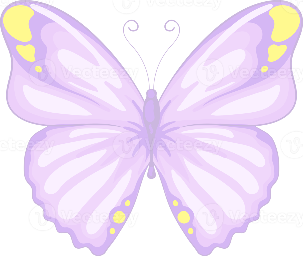 illustration Beautiful butterfly paint png