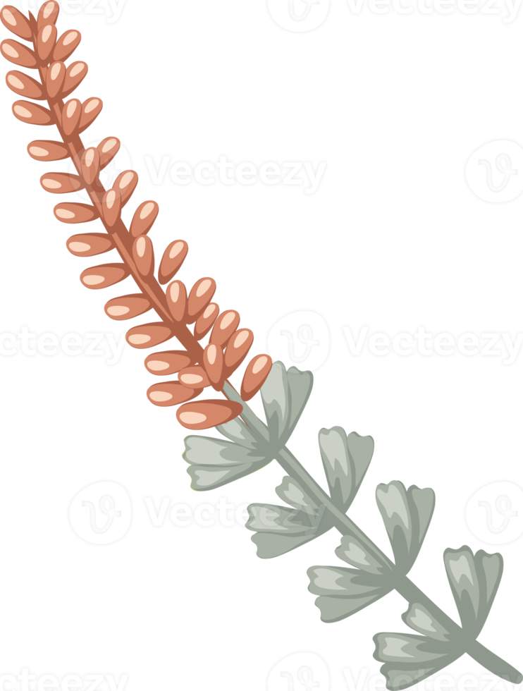 fleur rose et feuille botanique peinte numériquement png