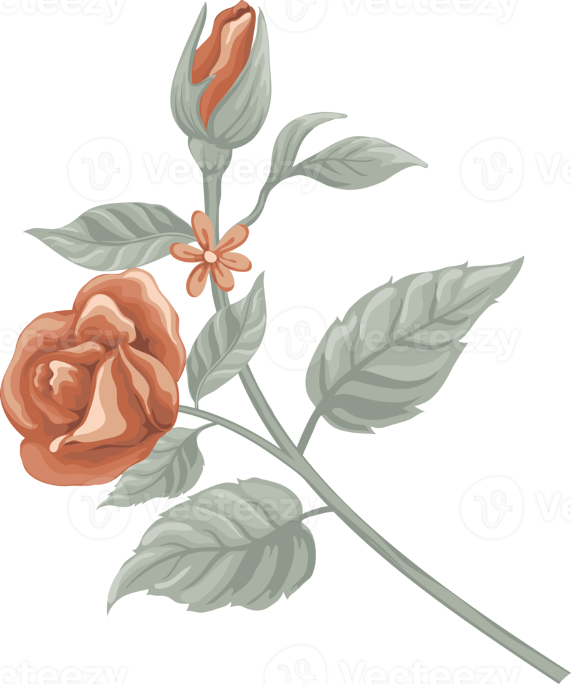 Rose Flower and botanical leaf digital painted png