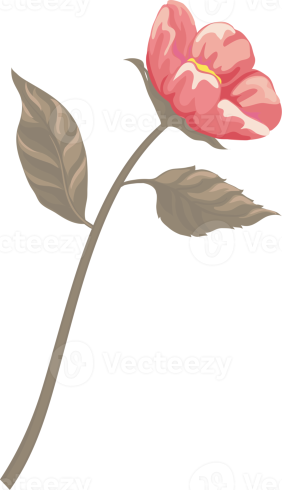 Rosenblüte und botanisches Blatt digital gemalt png