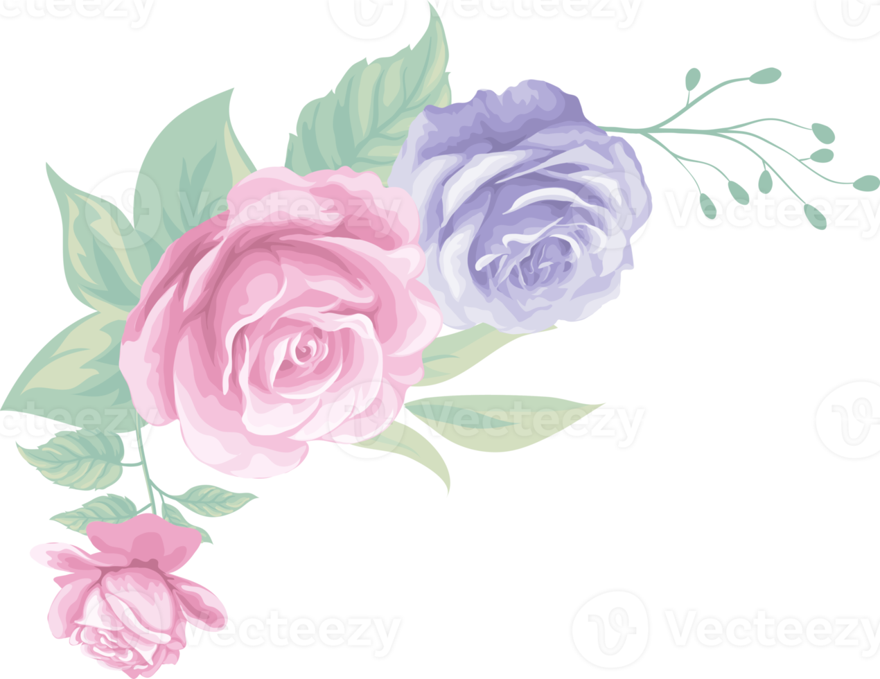 Rose Flower and botanical leaf digital painted png