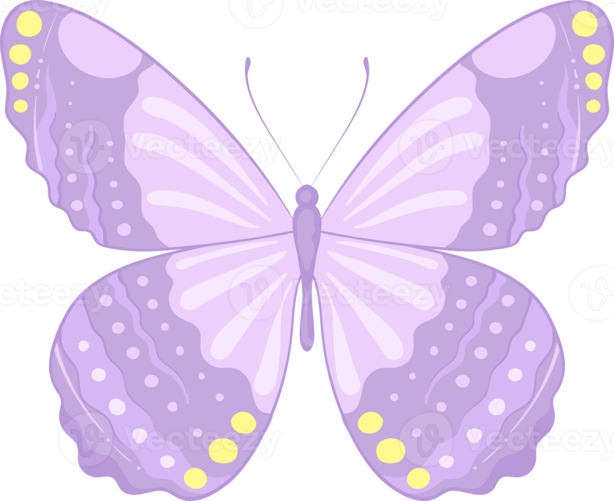 illustration Beautiful butterfly paint png