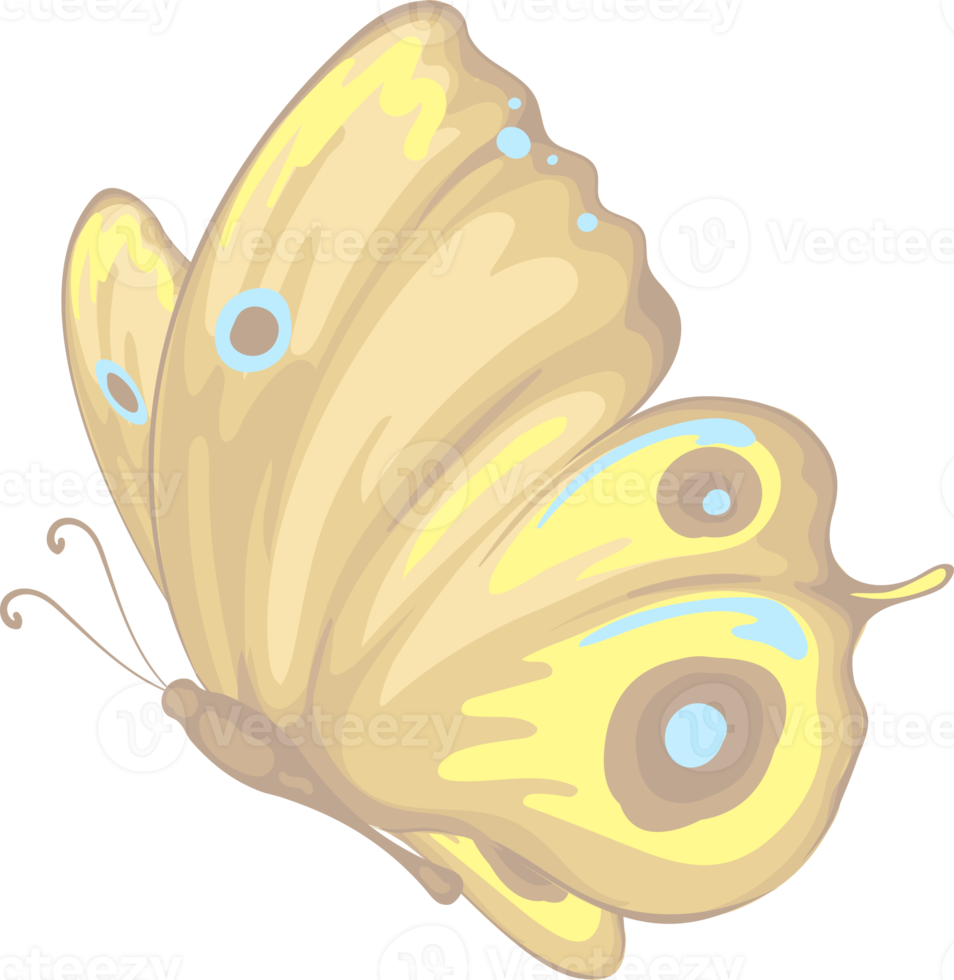 illustration Beautiful butterfly paint png