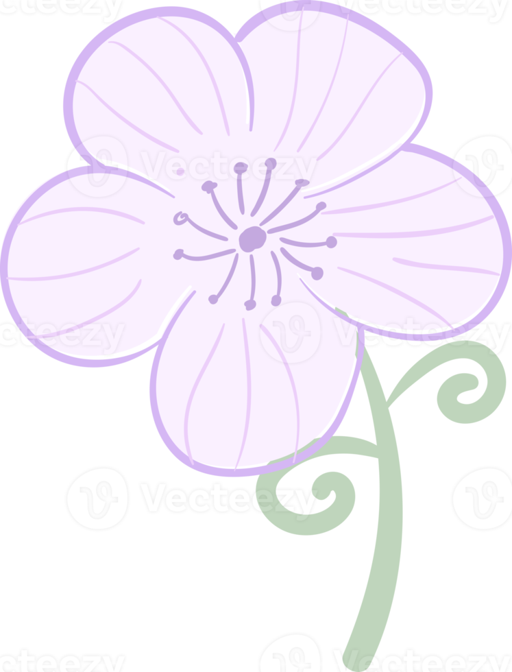 illustration Beautiful flower and botanical leaf pattern for love wedding valentines day or arrangement invitation design greeting card png