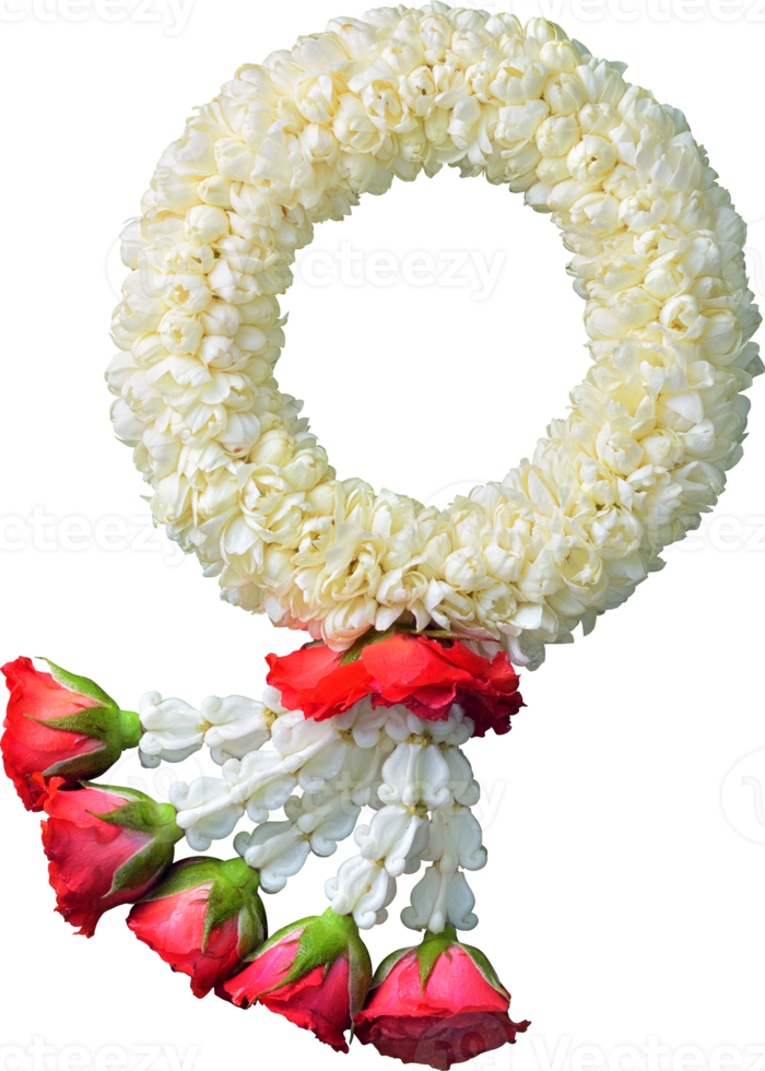 jasmine garland symbol of Mothers day in thailand on white background with clipping path png