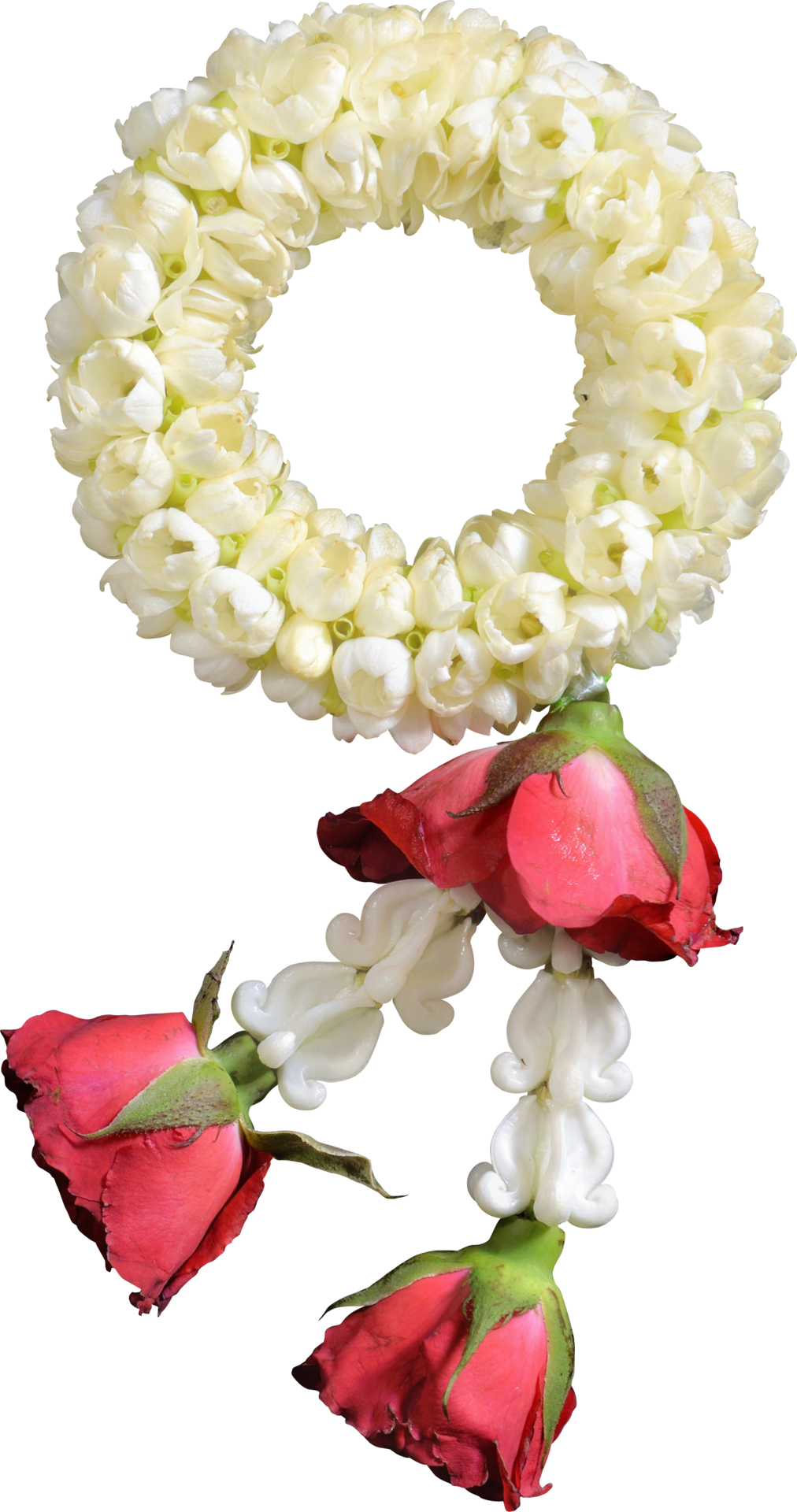 jasmine-garland-symbol-of-mothers-day-in-thailand-on-white-background