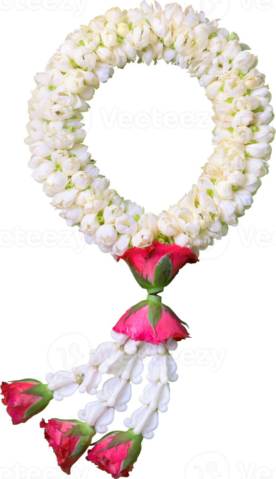 jasmine garland symbol of Mothers day in thailand on white background with clipping path png
