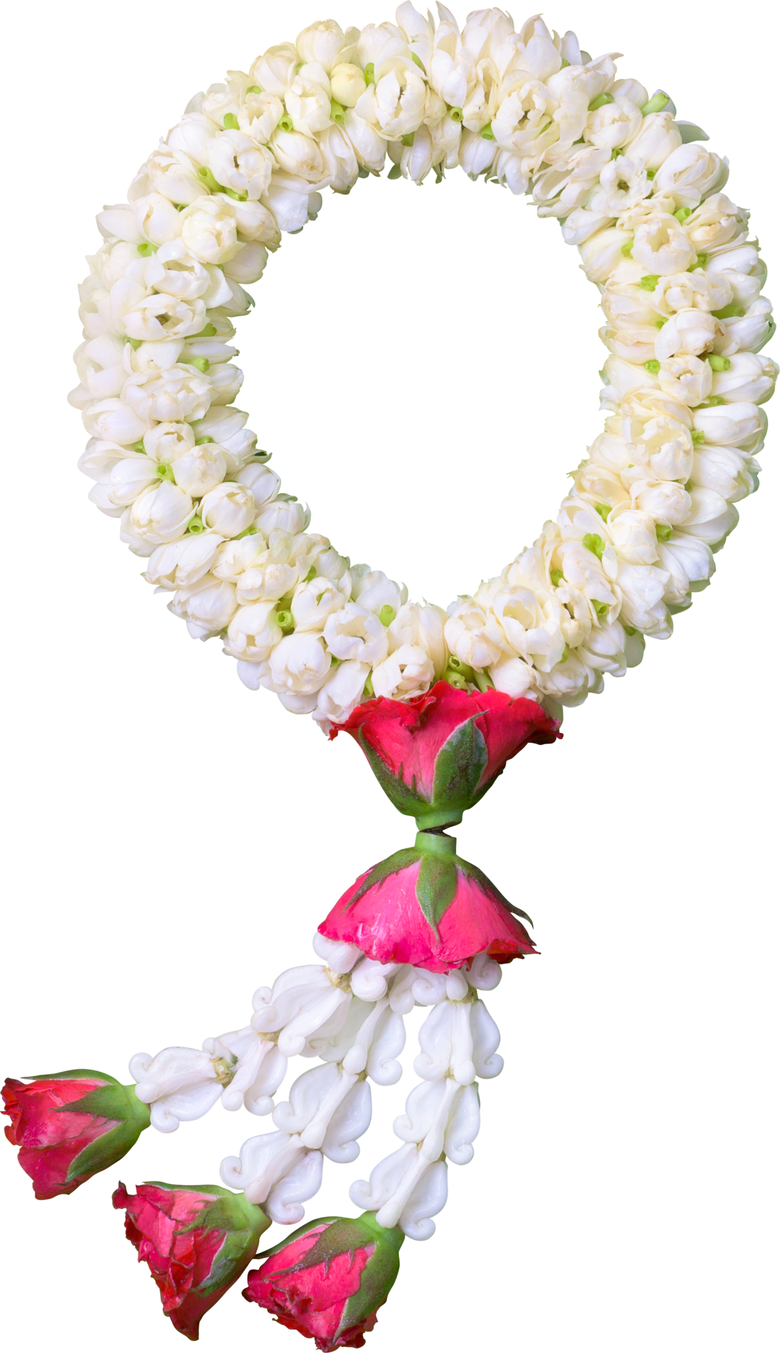 jasmine-garland-symbol-of-mothers-day-in-thailand-on-white-background