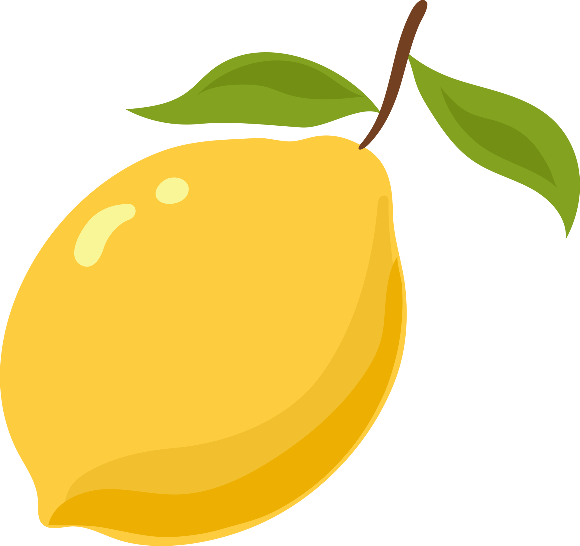 lemon fruit illustration cartoon 9597292 PNG