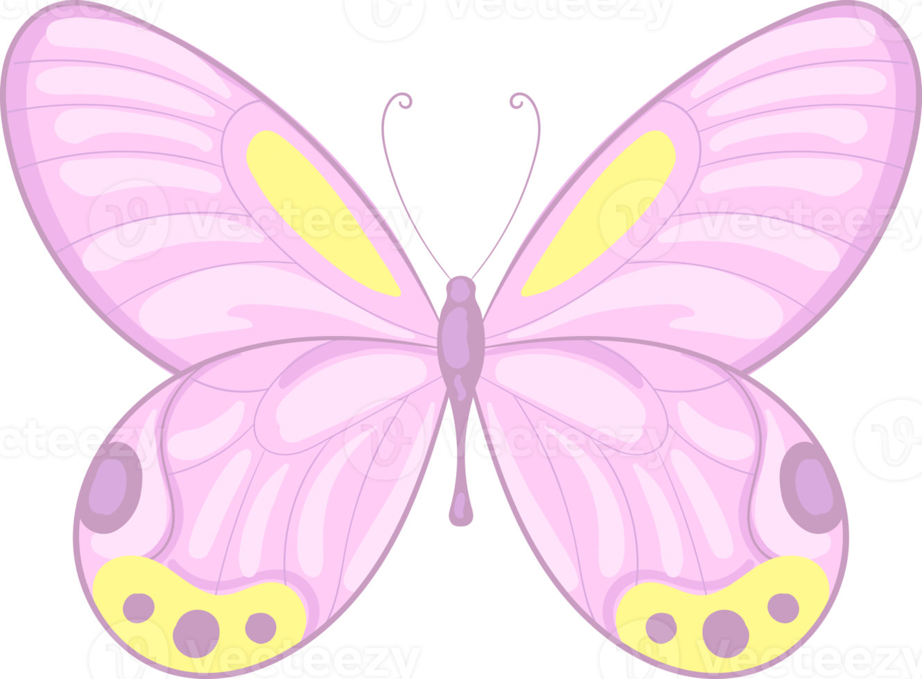 illustration Beautiful butterfly paint png