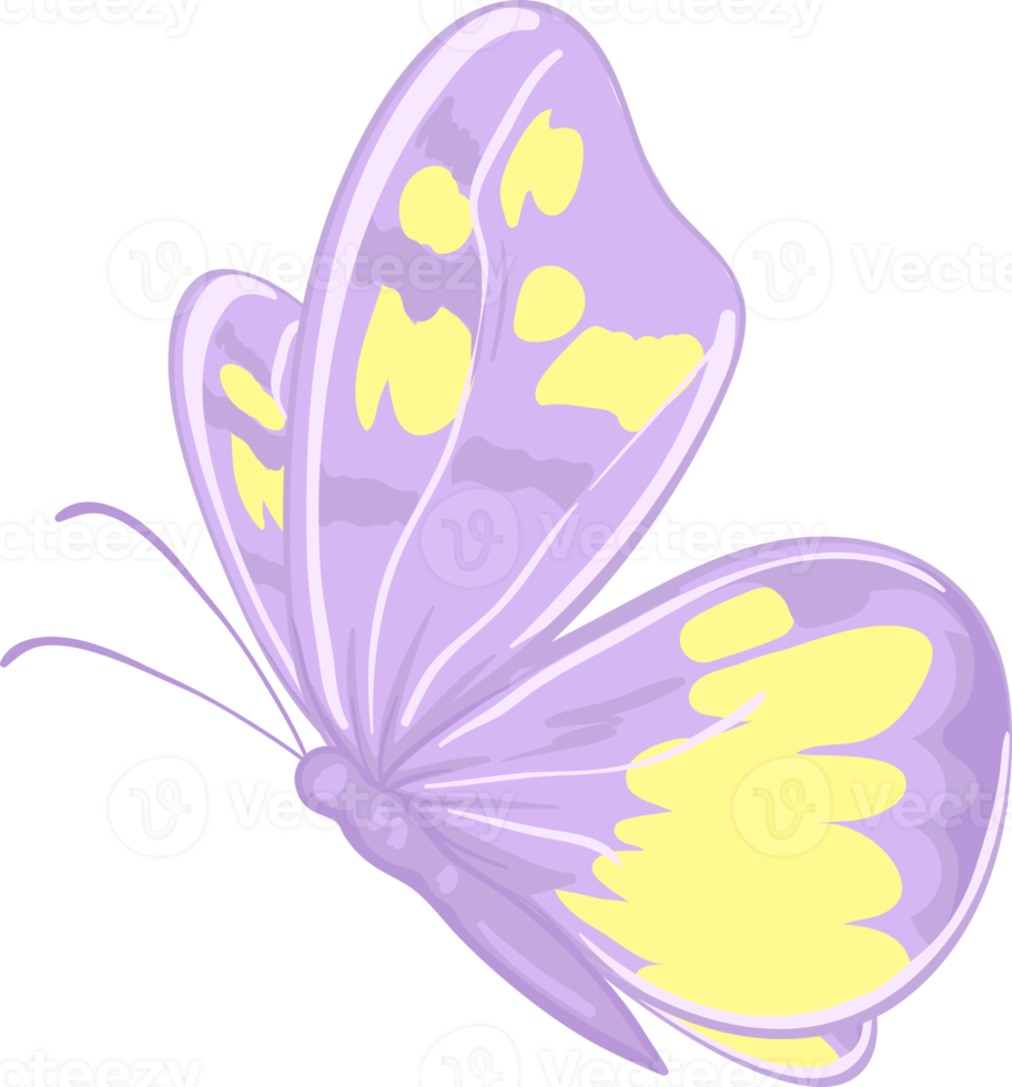 illustration Beautiful butterfly paint png