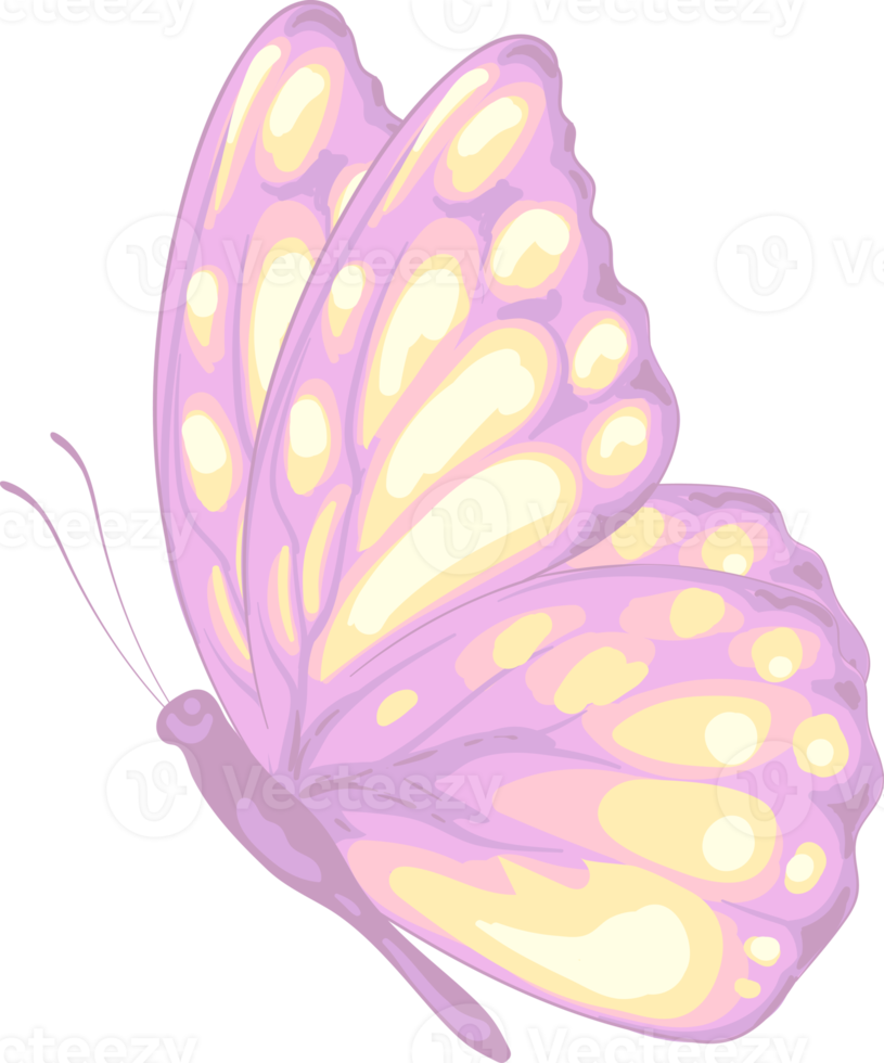 illustration Beautiful butterfly paint png