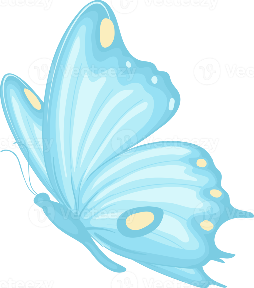 illustration Beautiful butterfly paint png