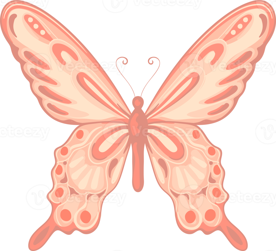 illustration Beautiful butterfly paint png