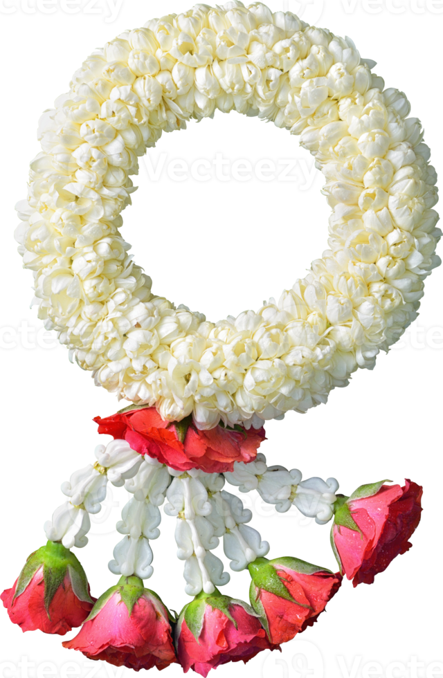 jasmine garland symbol of Mothers day in thailand on white background with clipping path png