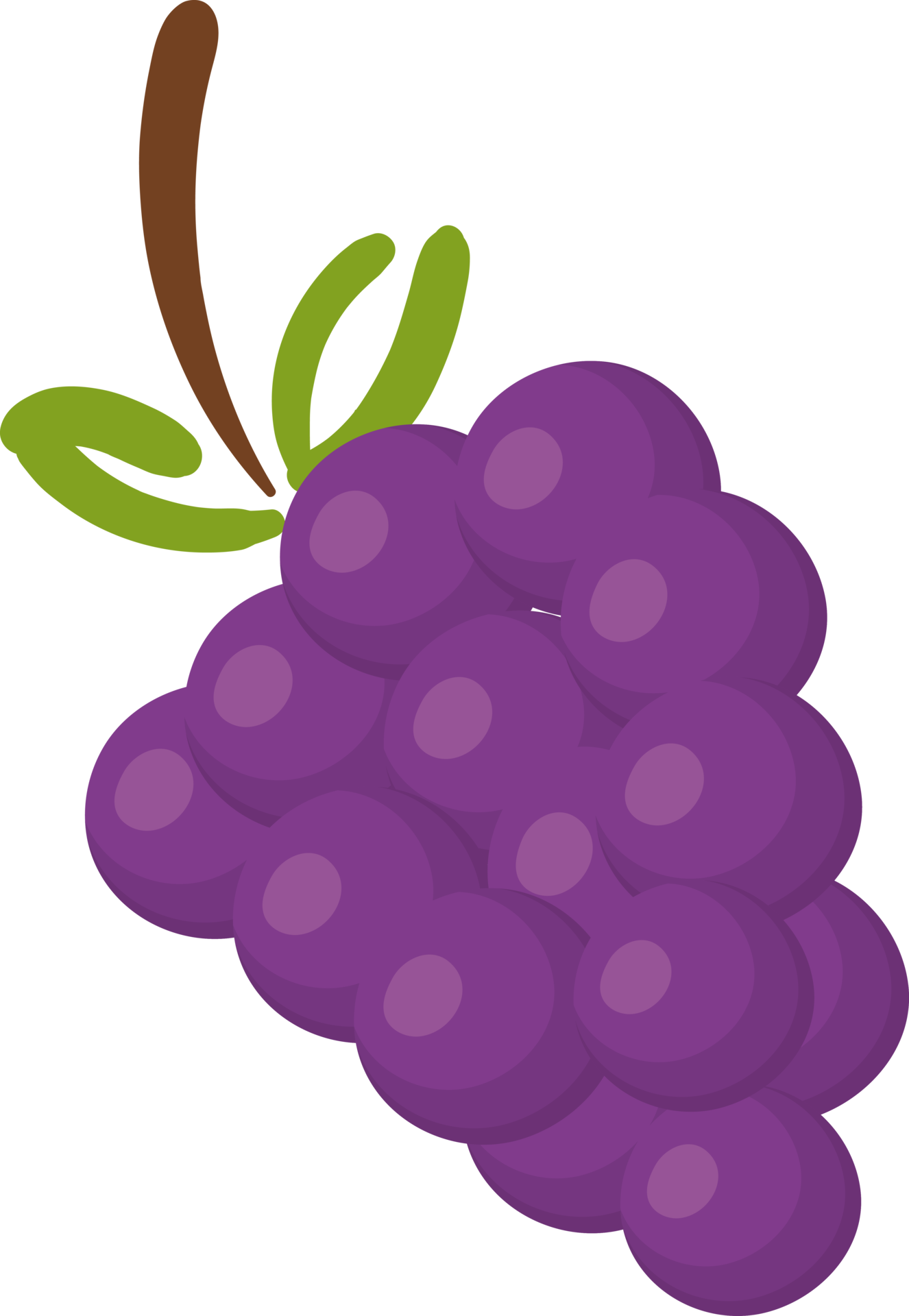 Free grape fruit illustration cartoon 9597356 PNG with Transparent  Background