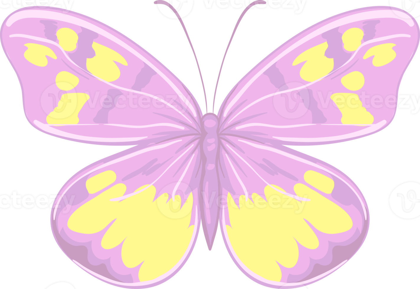 illustration belle peinture papillon png