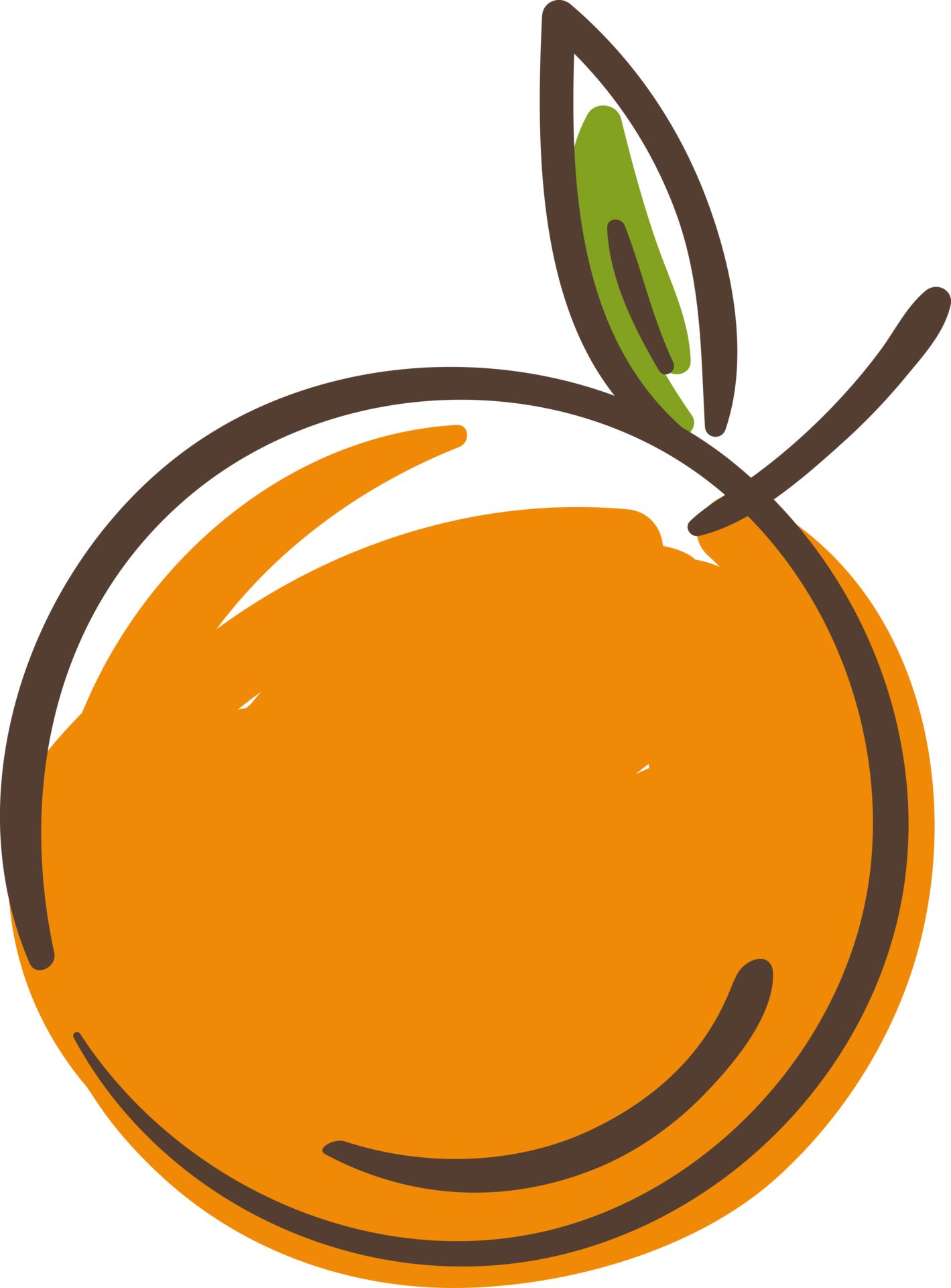 Free orange fruit illustration cartoon 9597422 PNG with Transparent  Background