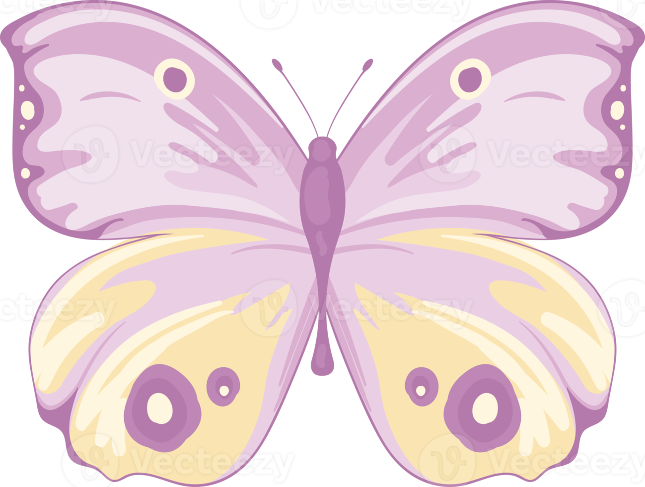 illustration Beautiful butterfly paint png
