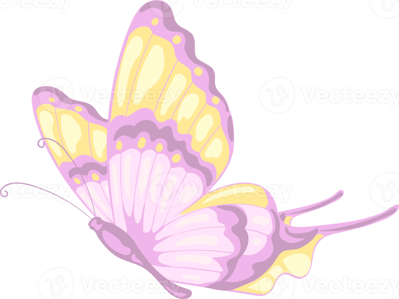 illustration Beautiful butterfly paint png