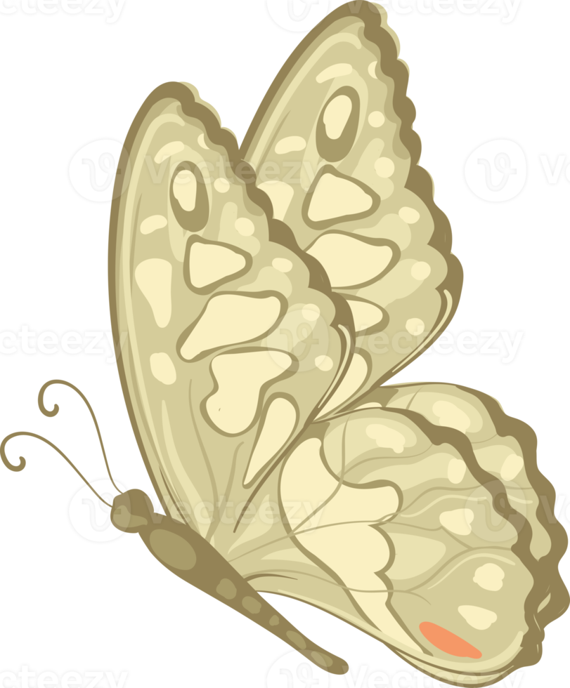 illustration Beautiful butterfly paint png