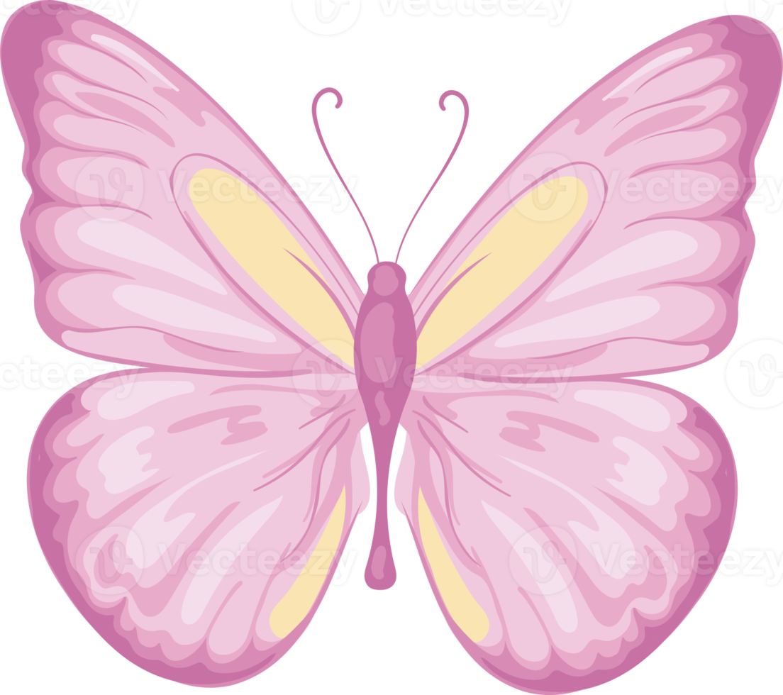 illustration belle peinture papillon png