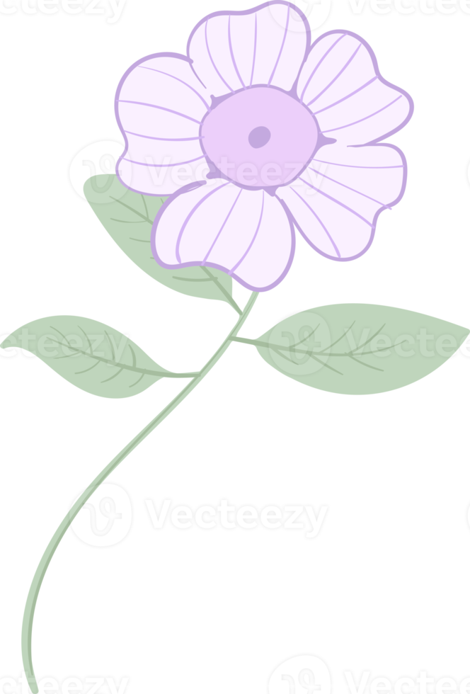 ilustração linda flor e padrão de folha botânica para amor casamento dia dos namorados ou arranjo convite design cartão de saudação png