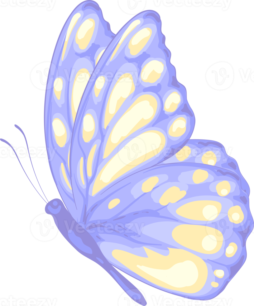 ilustración hermosa pintura de mariposa png