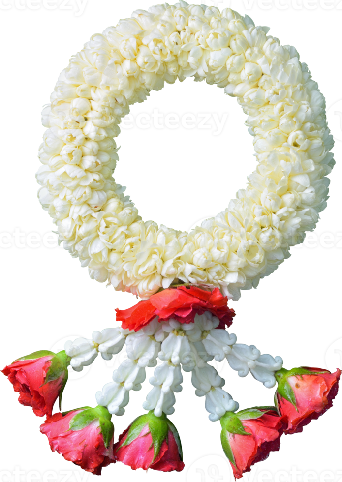 jasmine garland symbol of Mothers day in thailand on white background with clipping path png