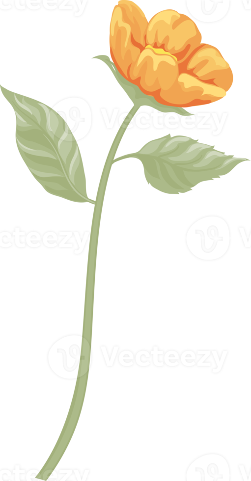 roze bloem en botanisch blad digitaal geschilderd png