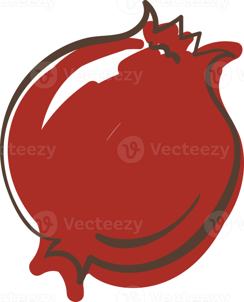 pomegranate fruit illustration cartoon png