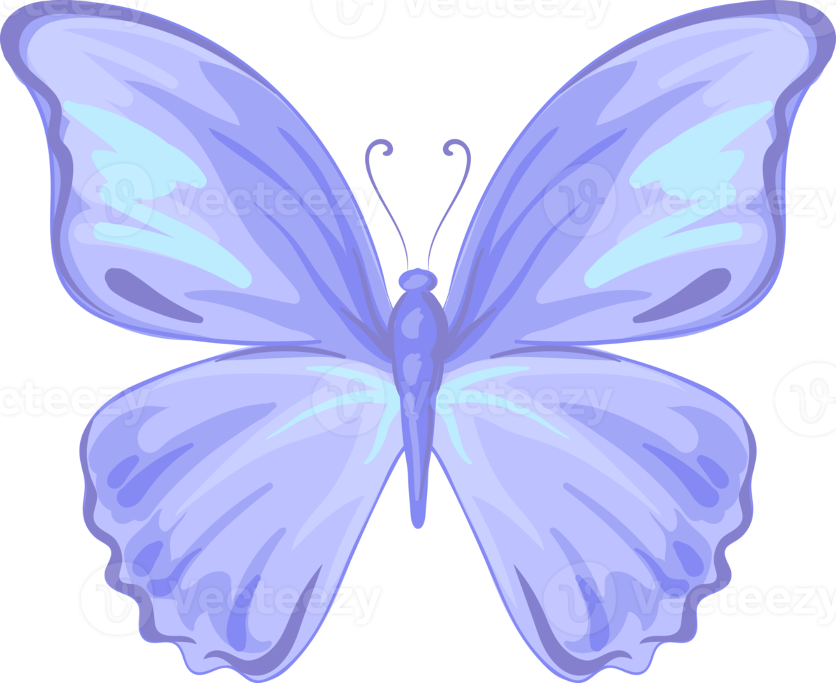 illustration Beautiful butterfly paint png