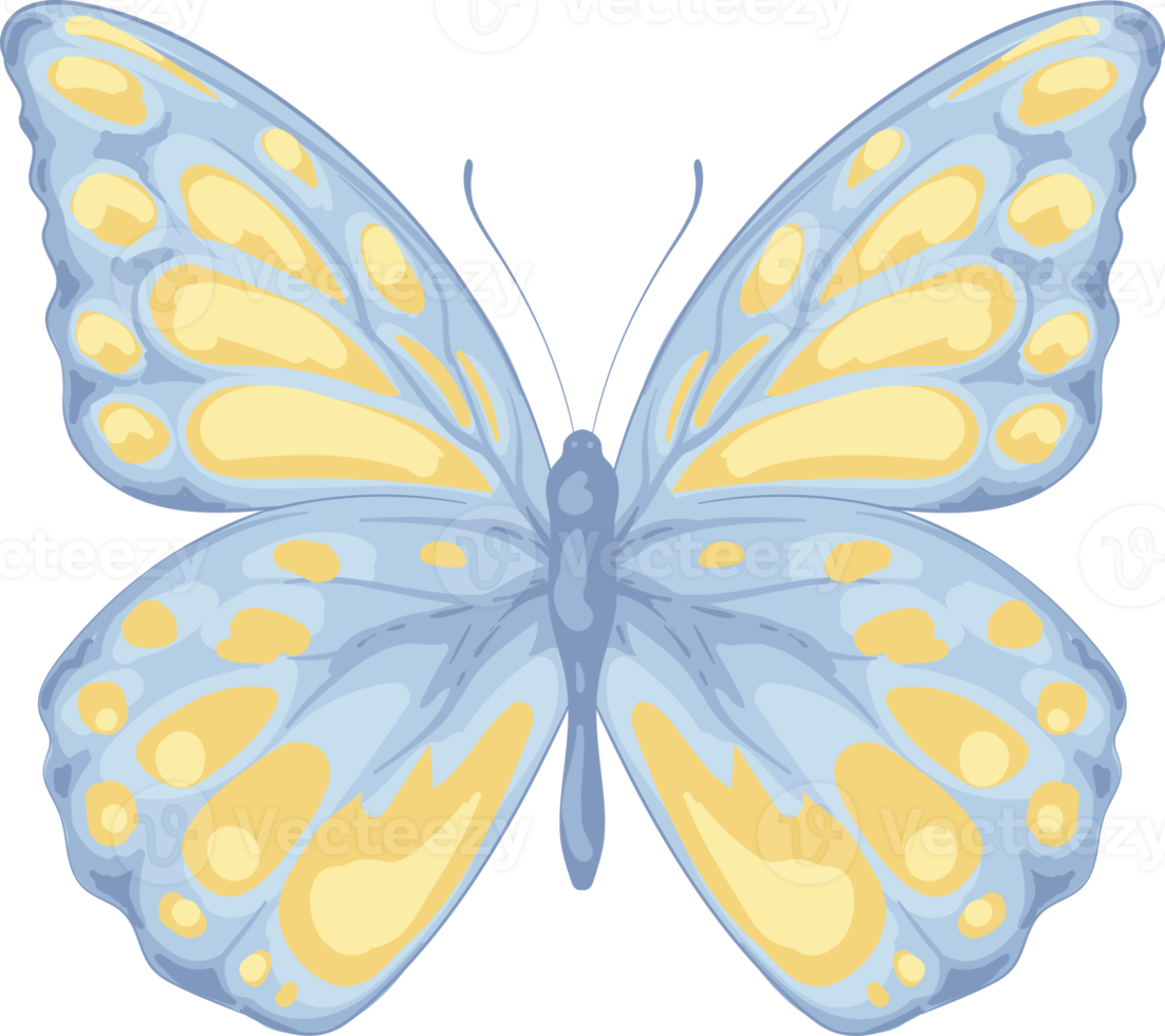 illustration Beautiful butterfly paint png