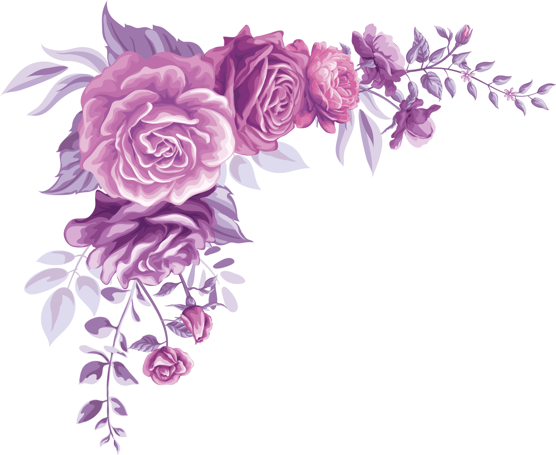 Rose Flower and botanical leaf digital painted 9597526 PNG