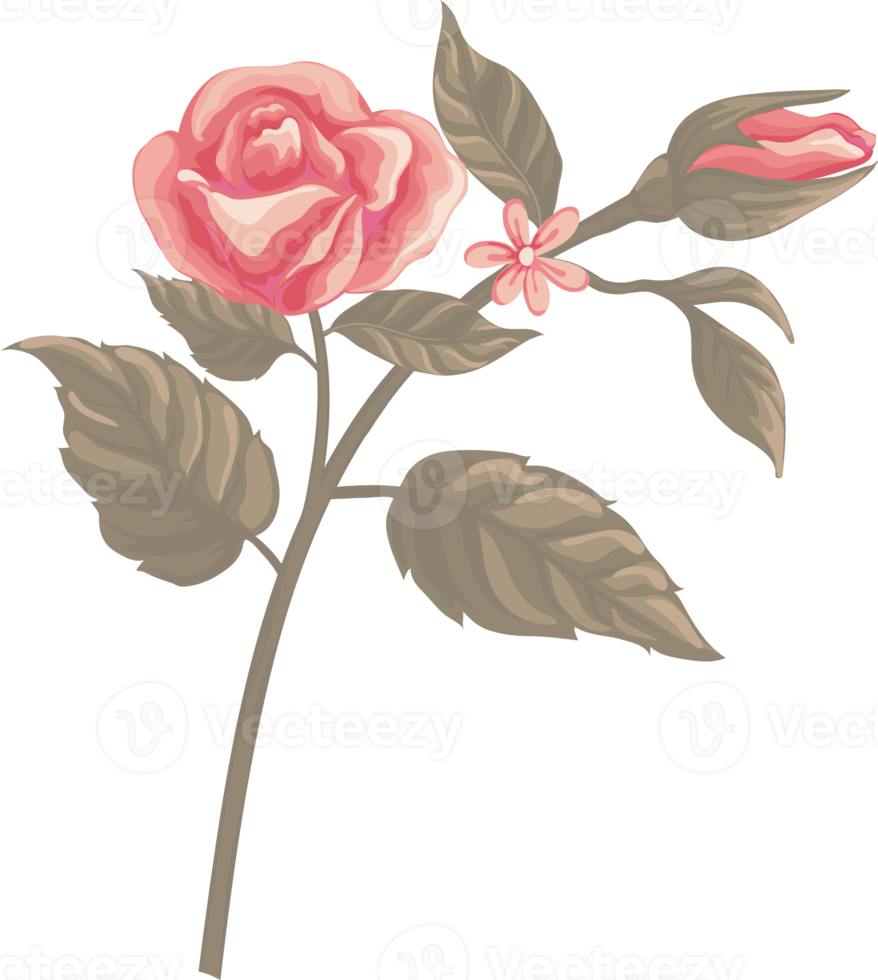 rosa blomma och botaniska blad digital målade png