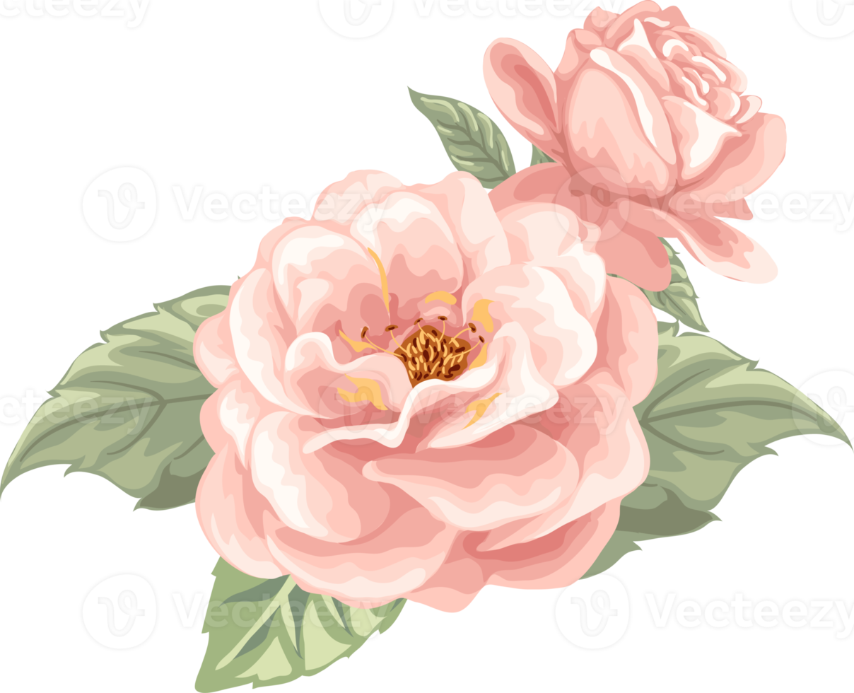 Rose Flower and botanical leaf digital painted png