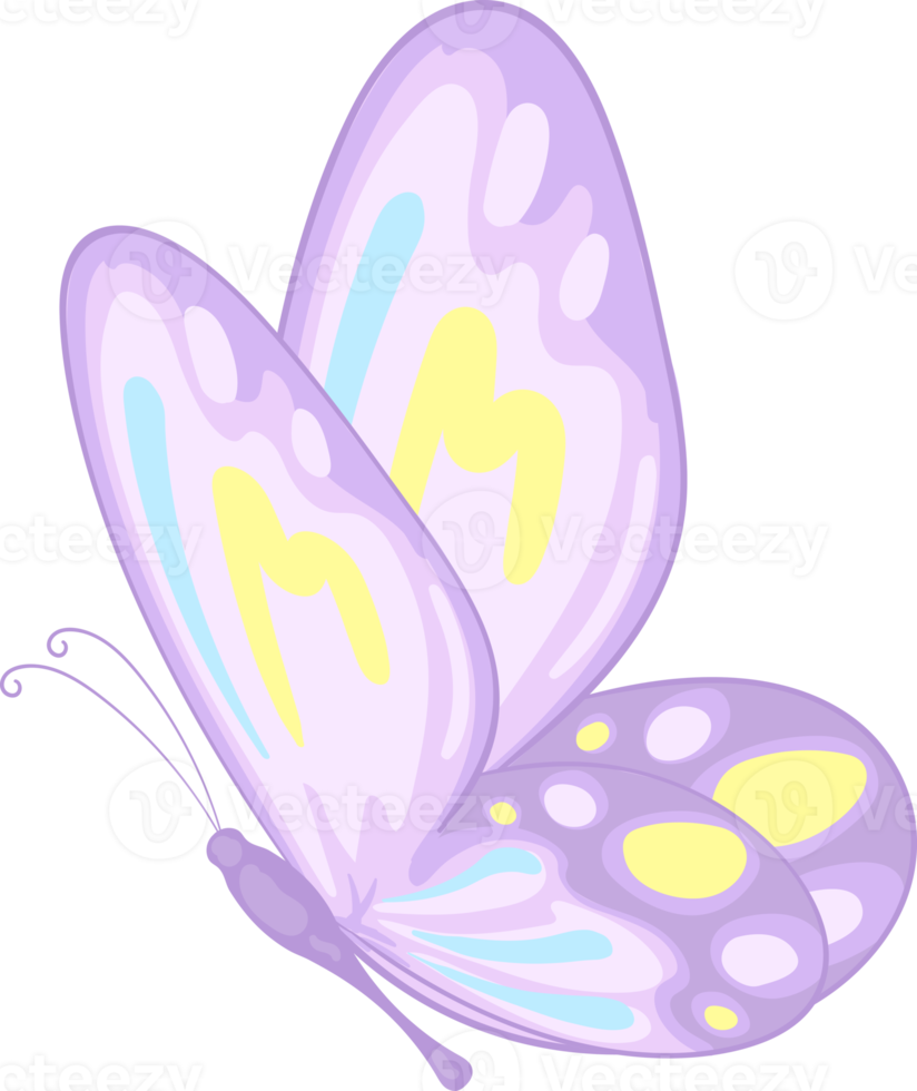 illustration Beautiful butterfly paint png