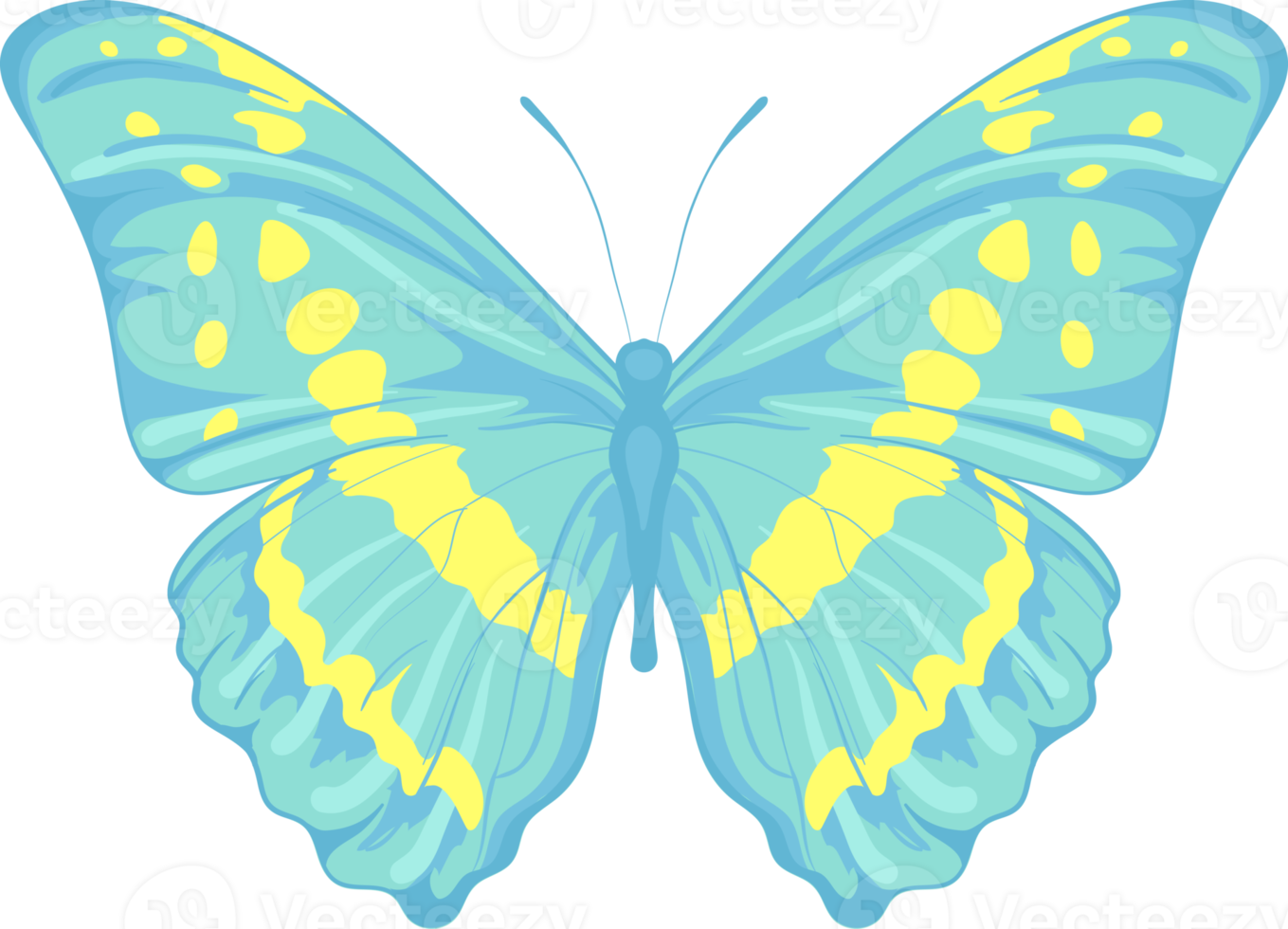 illustration Beautiful butterfly paint png