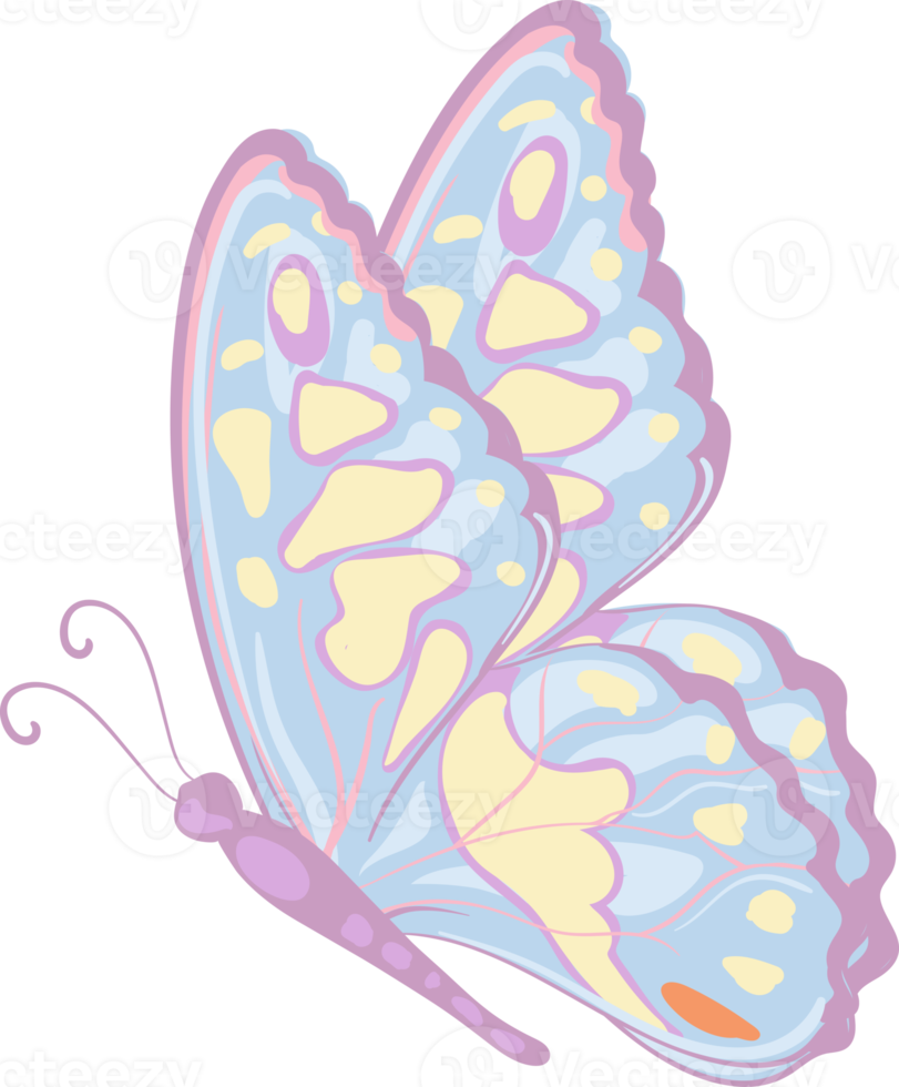 ilustração linda pintura de borboleta png
