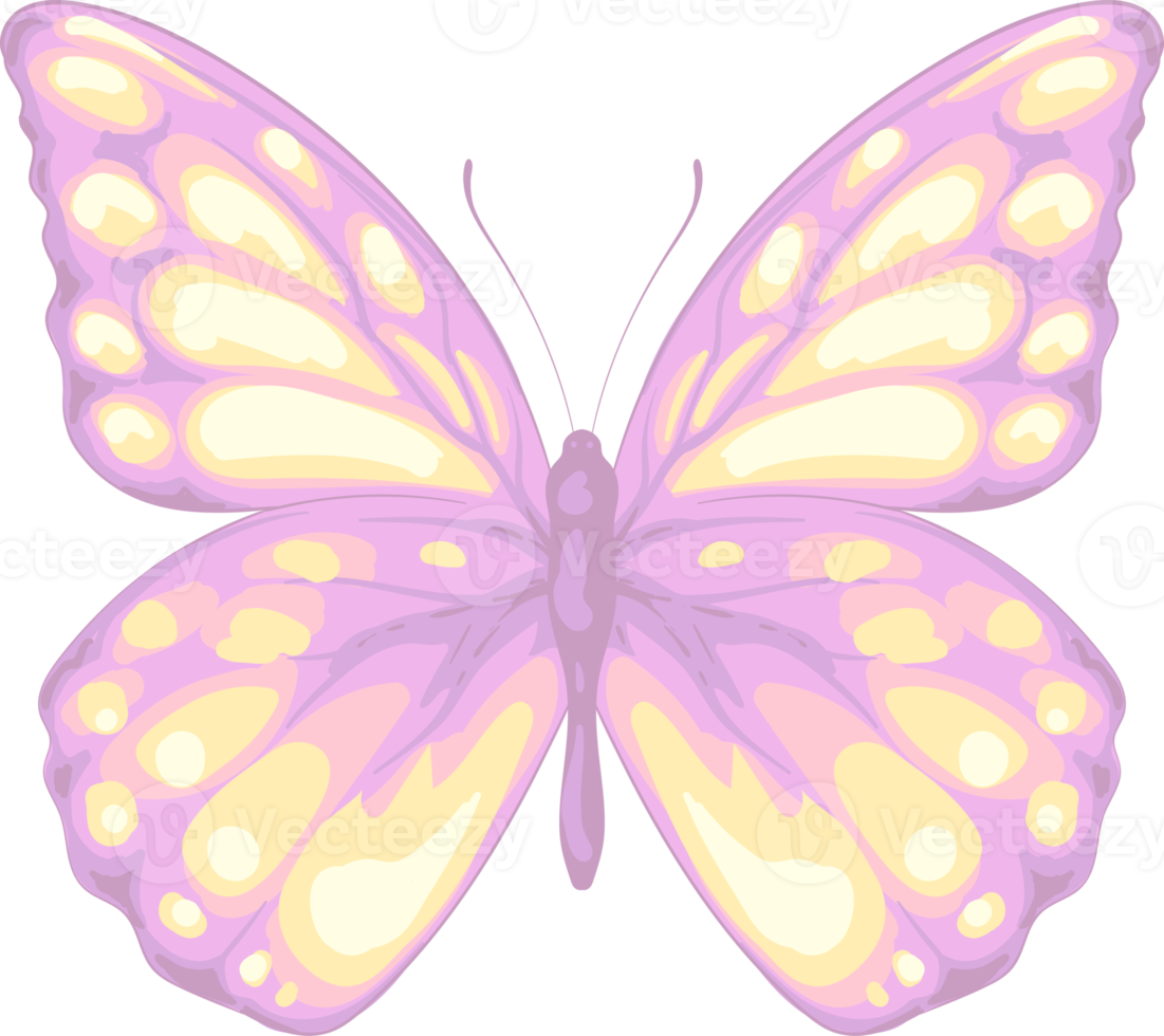 ilustración hermosa pintura de mariposa png