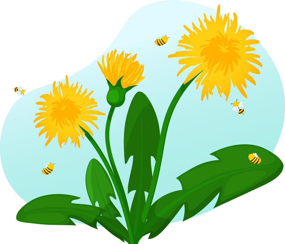 Dandelion with bees on blue background. Bees collect nectar from dandelion vector