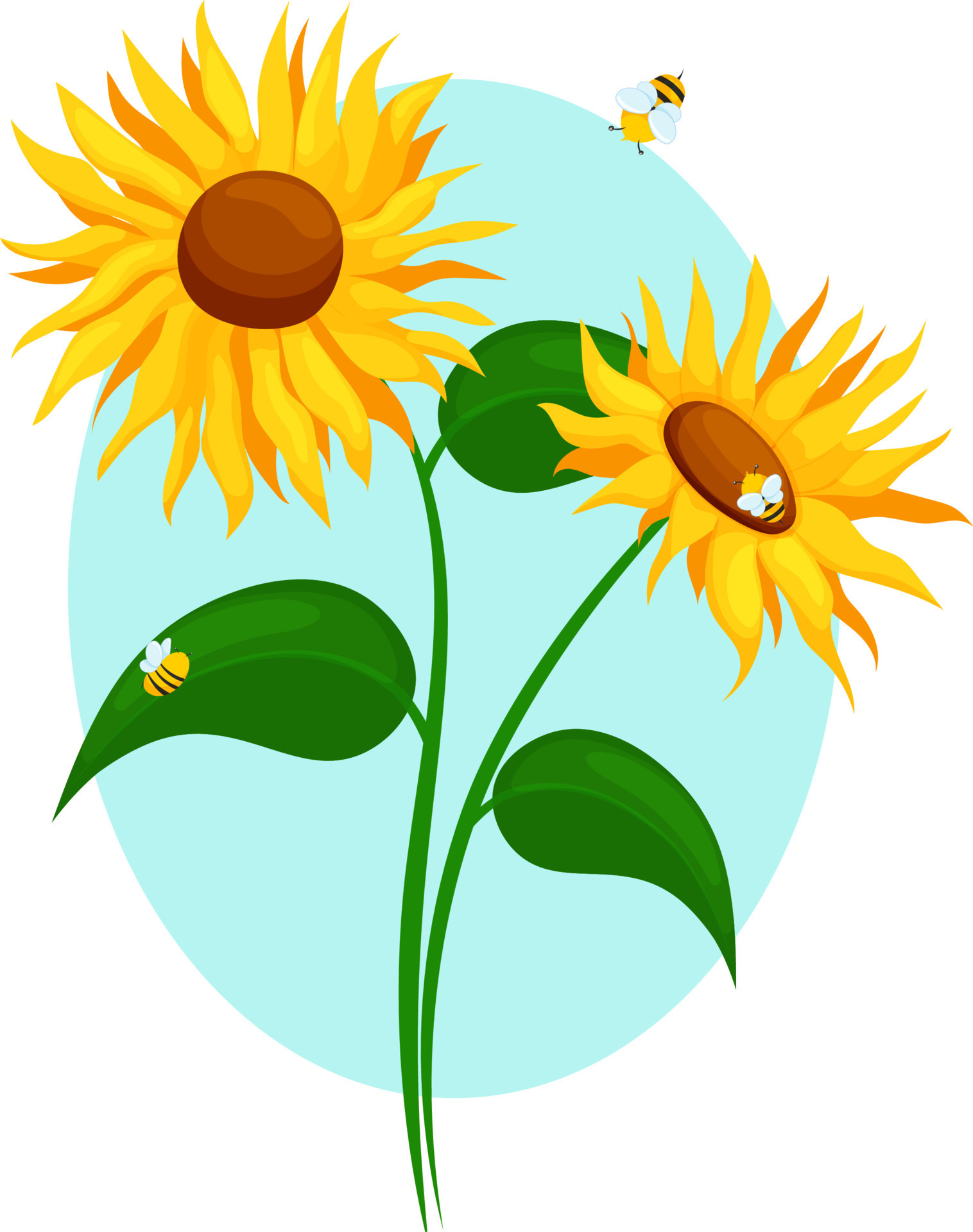 Sunflower on blue background with bees, two large sunflowers, bees on