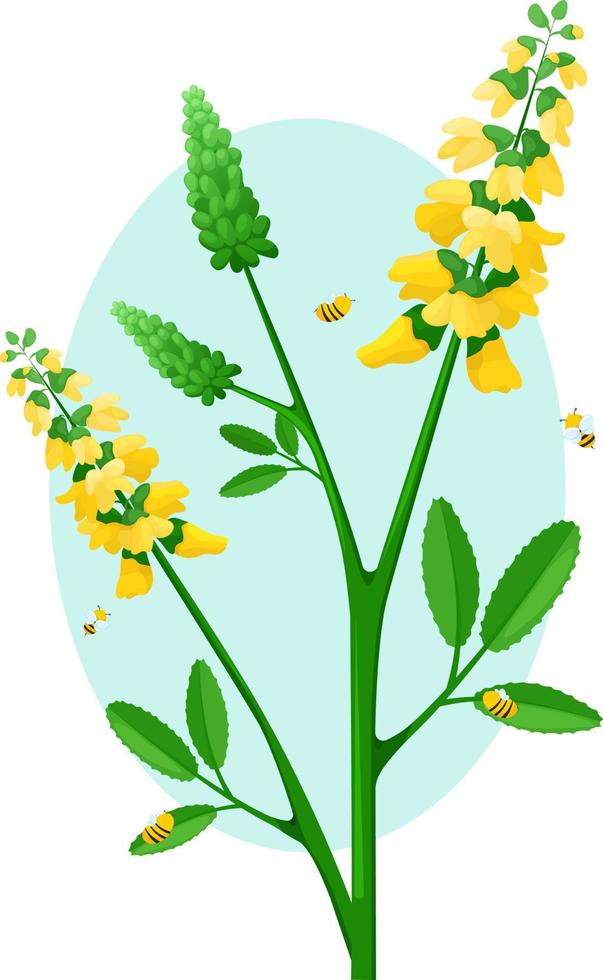 Sweet clover is medicinal plant. Bees collect honey from the clover. Melilot with bees vector