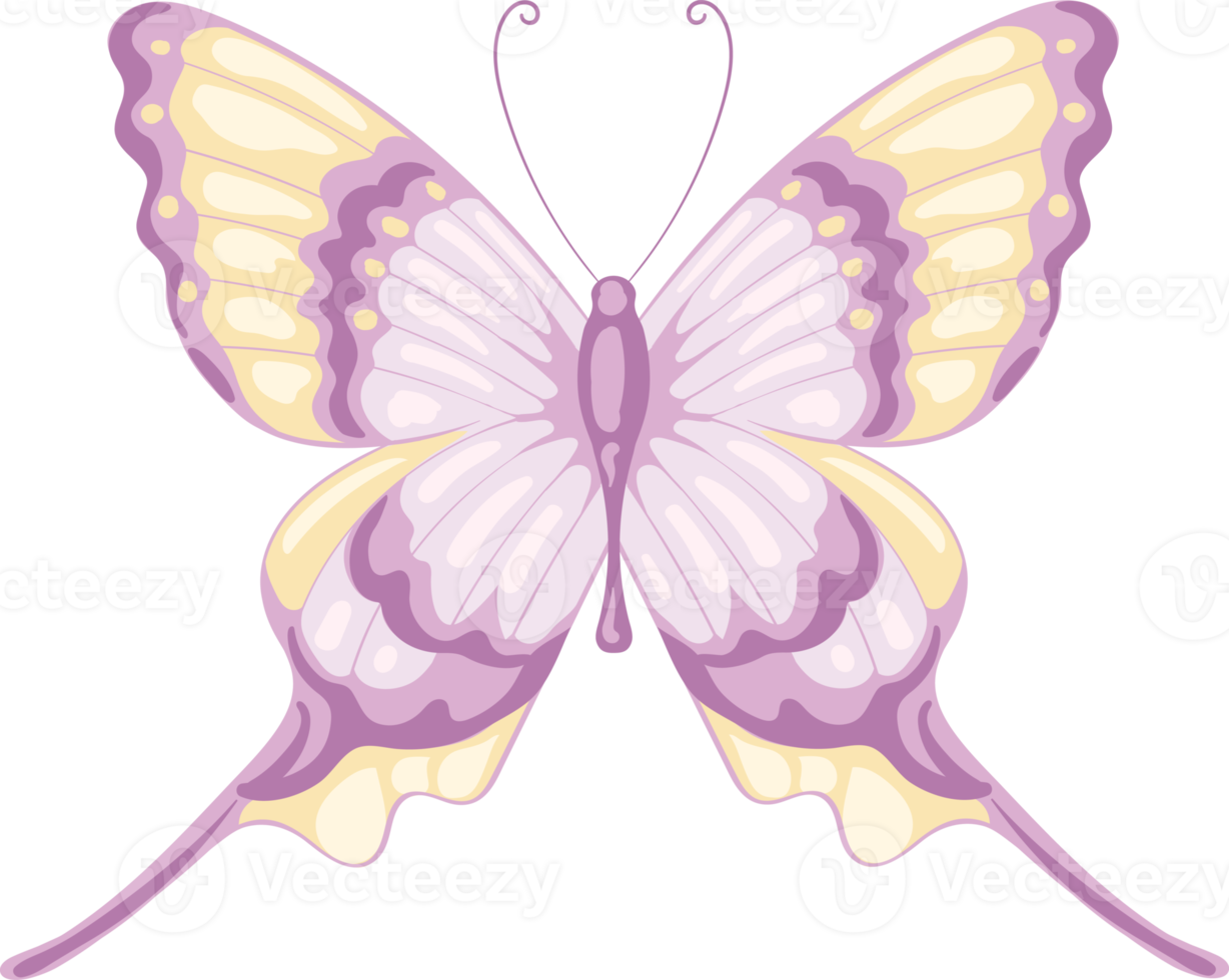 ilustración hermosa pintura de mariposa png