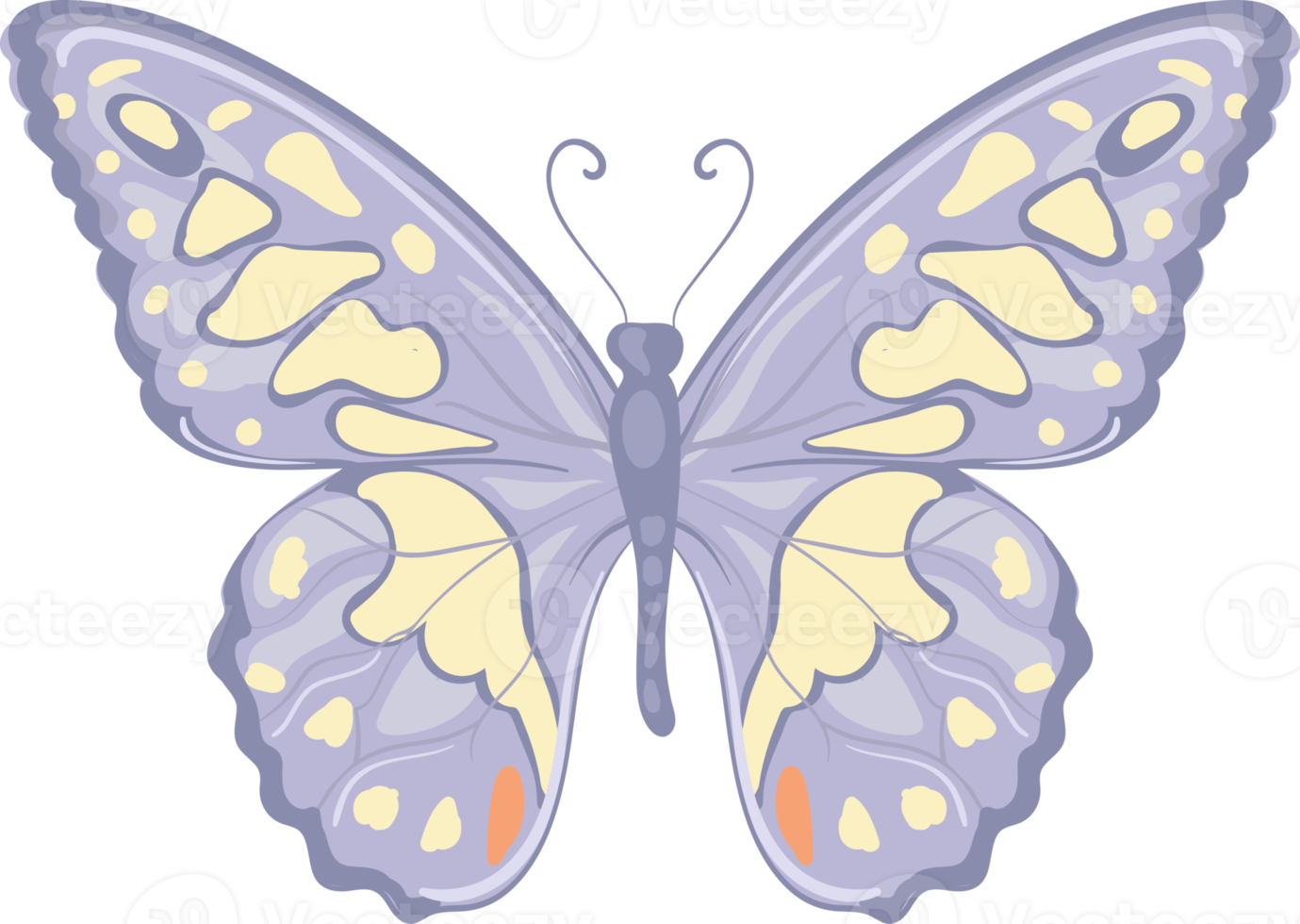 illustration belle peinture papillon png