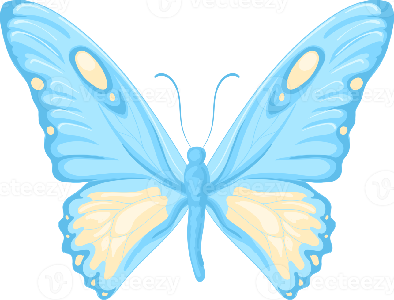 illustration Beautiful butterfly paint png