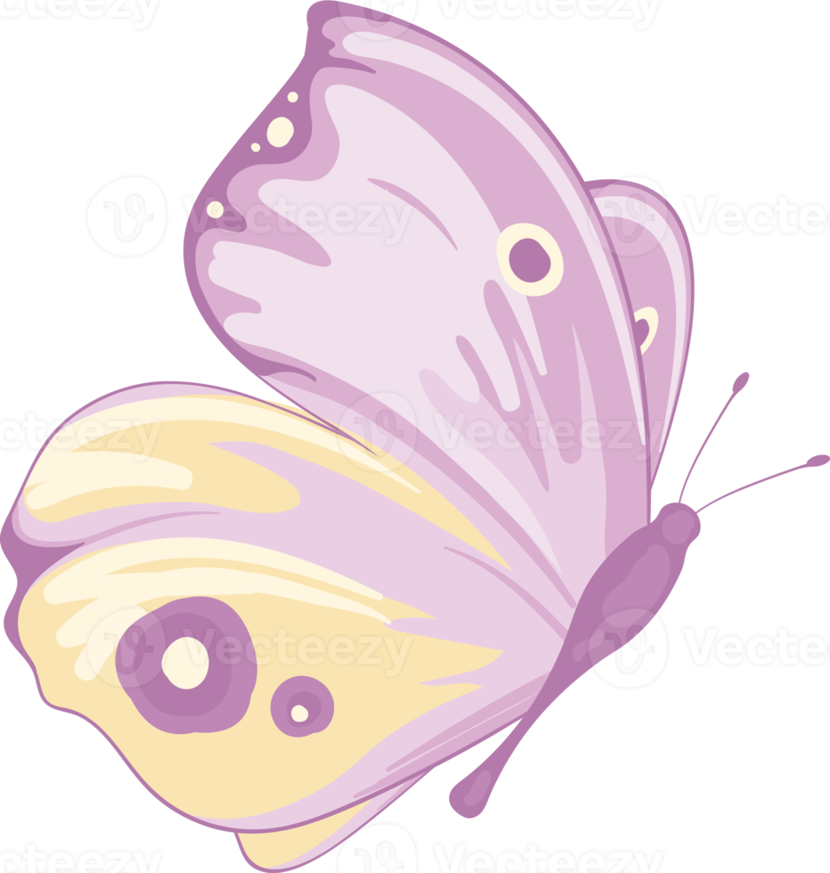 illustration Beautiful butterfly paint png