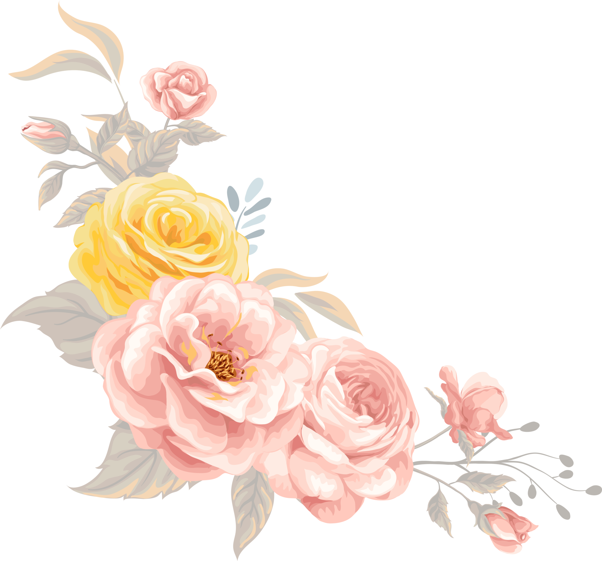 flor de rosa y hoja botánica pintada digitalmente 9597864 PNG